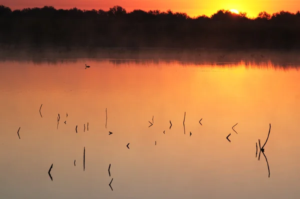 Схід сонця і озеро — стокове фото