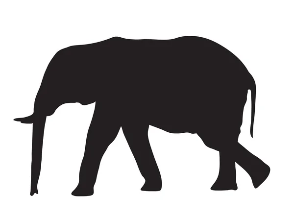 Abstraktní silueta slona — Stockový vektor