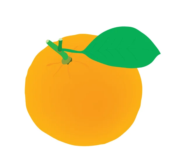 Hermosa naranja naranja con una hoja . — Vector de stock
