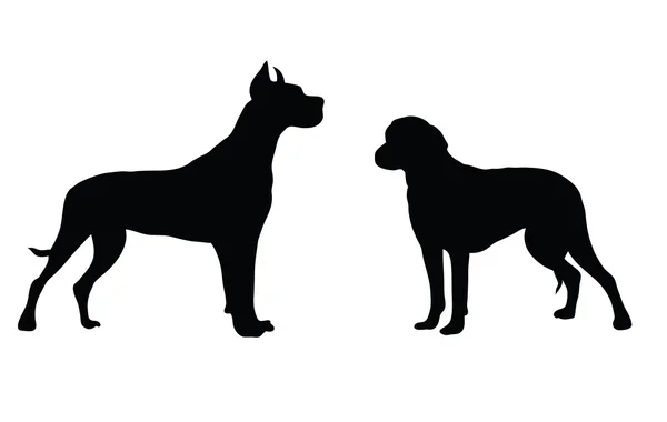 Abstraktní černá silueta psa. — Stockový vektor