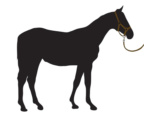 Абстрактний чорний силует коня . — стоковий вектор