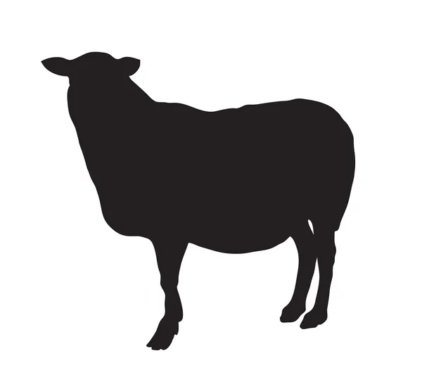 Sagoma nera astratta di una pecora . — Vettoriale Stock