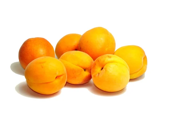 stock image Apricots