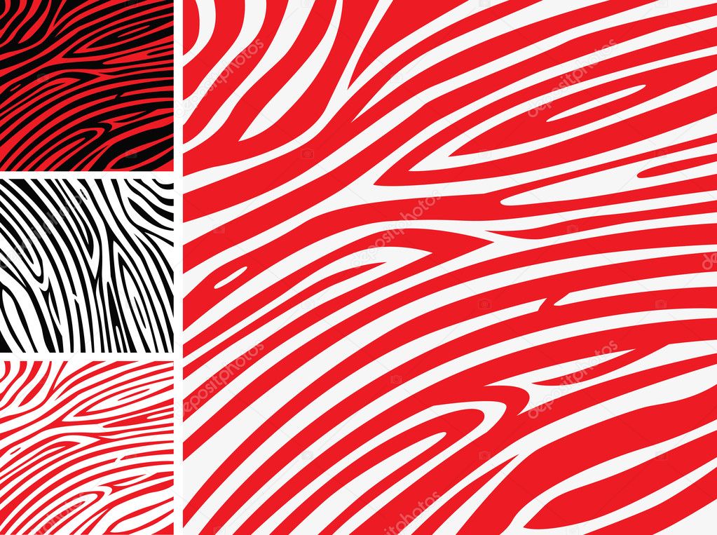 Red and white zebra skin - animal print or pattern collection
