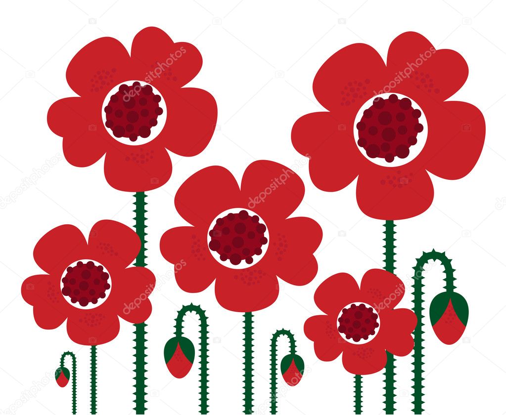 Red Poppy flowers isolated on white, retro