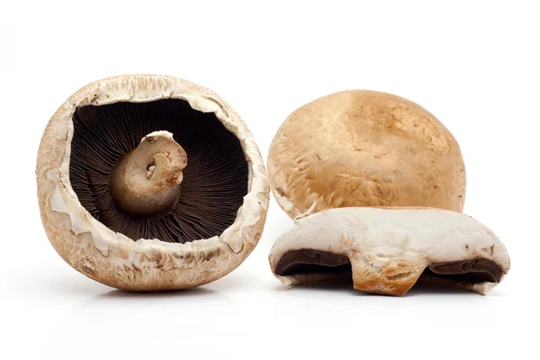 Cogumelos Portobello — Fotografia de Stock
