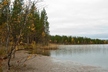 ahşap lake