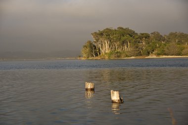 Elkhorn slough günbatımı