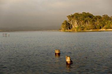 Elkhorn slough günbatımı