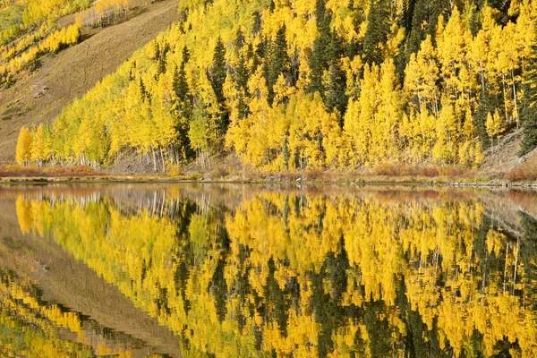 Fall Foliage Reflections — Stock Photo, Image