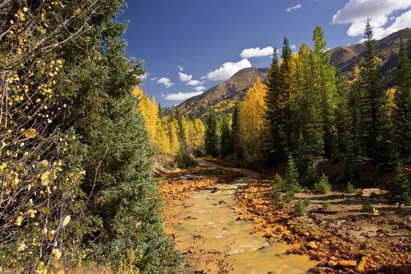 Scenic Mountain Stream no outono — Fotografia de Stock