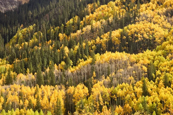 Autumn Mountain Vista — Stock Photo, Image