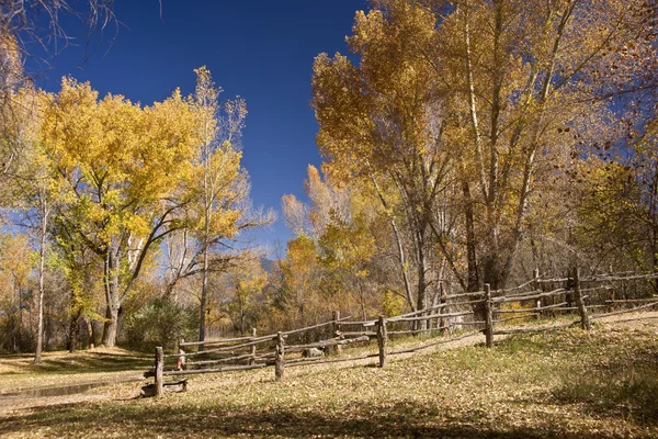New Mexico Autumn — Stock Photo, Image