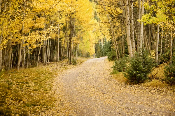 Autumn Lane — Stock Photo, Image