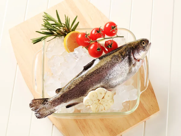 Verse forel — Stockfoto