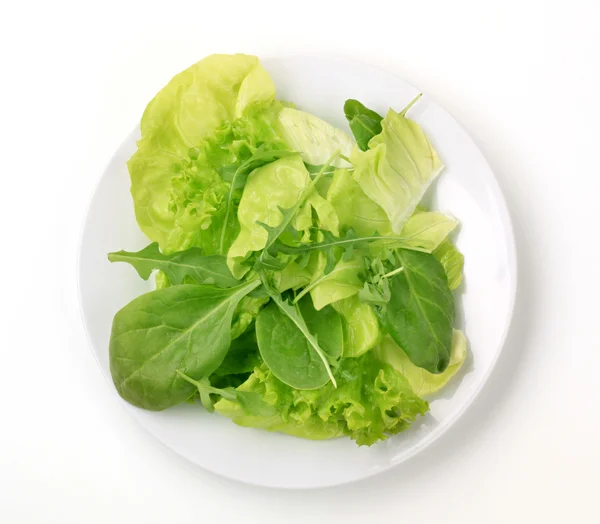 Verduras de salada — Fotografia de Stock