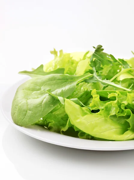 Verduras de salada — Fotografia de Stock