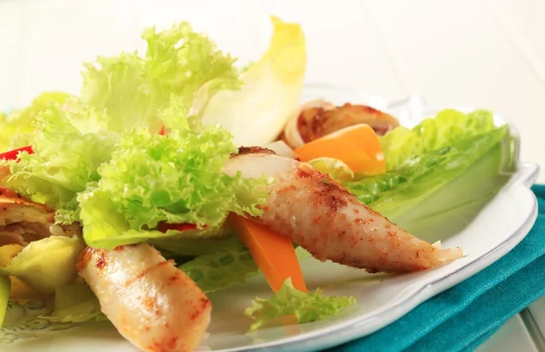 Ensalada de pollo y verduras — Foto de Stock