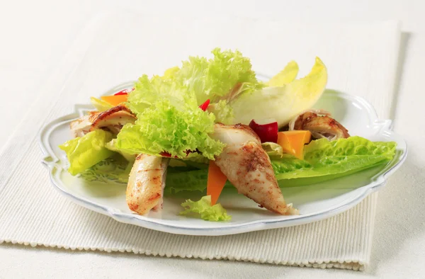 Csirke és növényi saláta — Stock Fotó