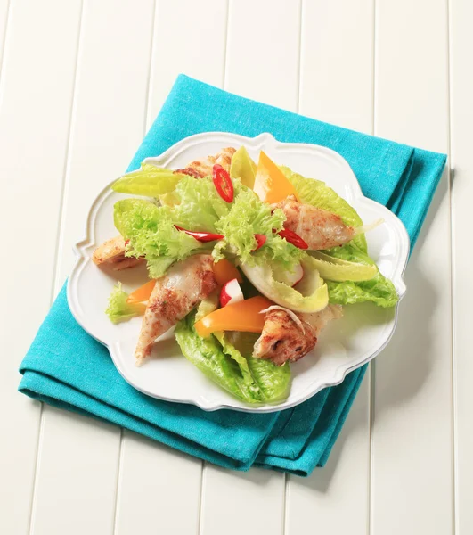 Csirke és növényi saláta — Stock Fotó