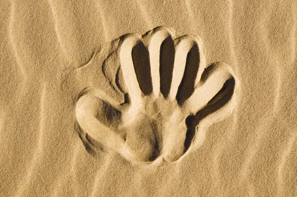 打印在沙子里的手 — 图库照片