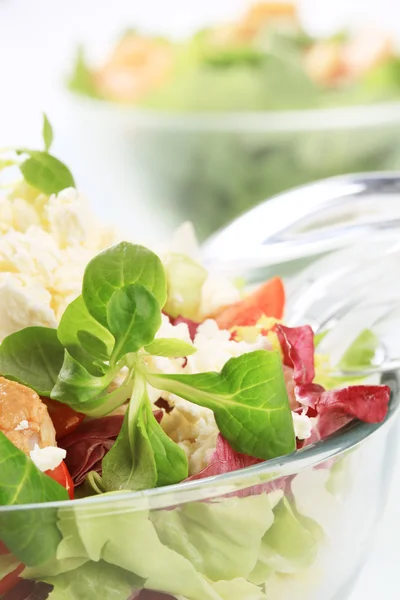 Salata tavuk ve lor peyniri ile — Stok fotoğraf