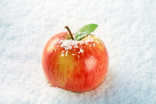Jabłko w śniegu — Zdjęcie stockowe