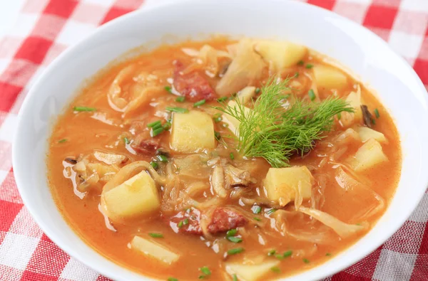 Cabbage soup — Stock Image Cabbage soup Stock Photo