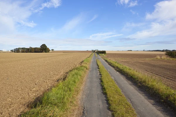Estrada rural inglesa — Fotografia de Stock