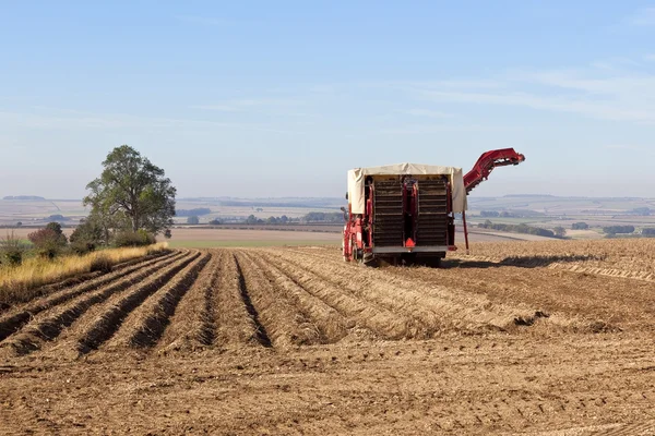 ジャガイモ収穫機 ロイヤリティフリーのストック写真