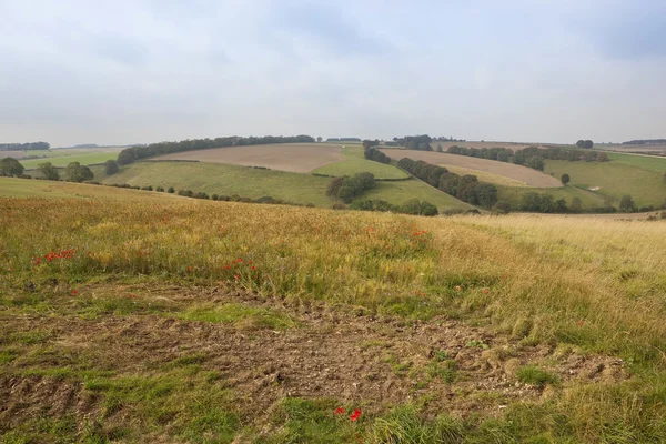 Engelse herfst landschap — Stockfoto