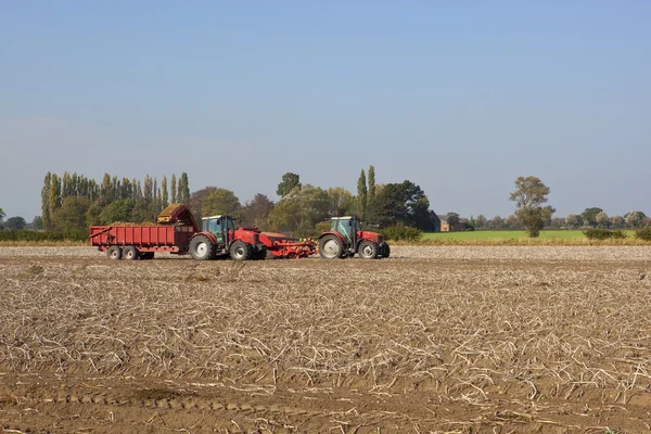 stock image Potato harvester 2