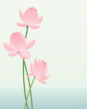 Lotus blossom clipart