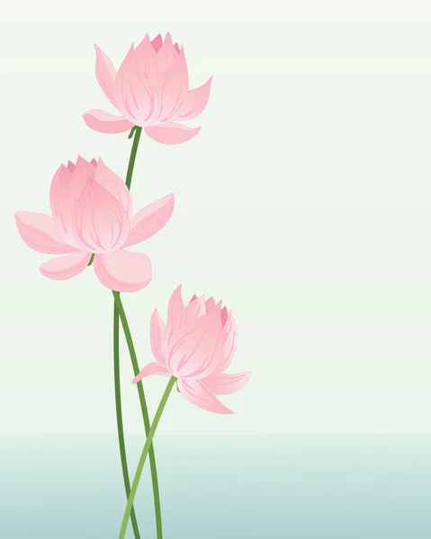 Flor de loto — Vector de stock