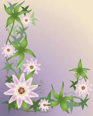 Passion flower clipart