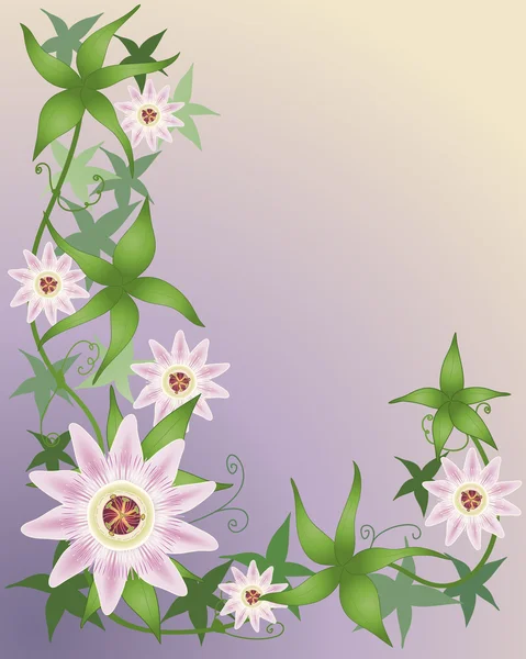 stock vector Passion flower