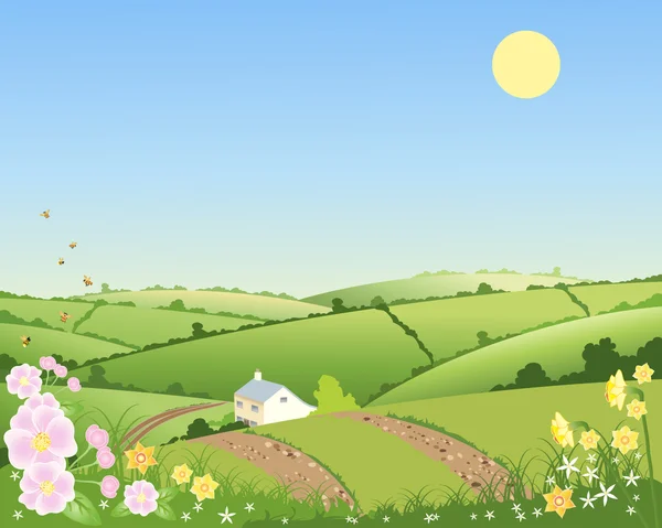 Country cottage in spring — Stock Vector
