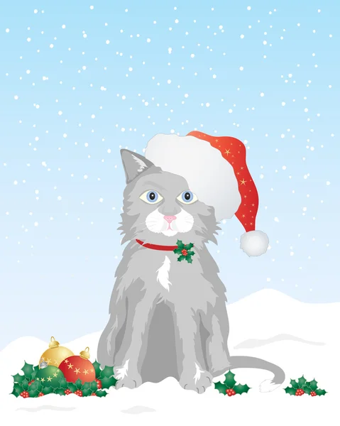 Kätzchen mit Weihnachtsmütze — Stockvektor