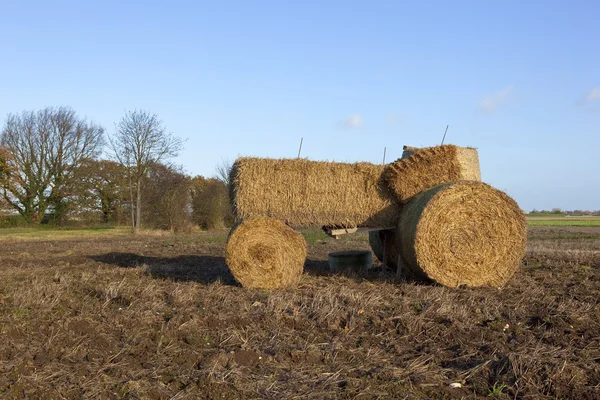 Соломенный трактор — стоковое фото