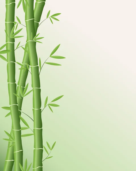 stock vector Bamboo