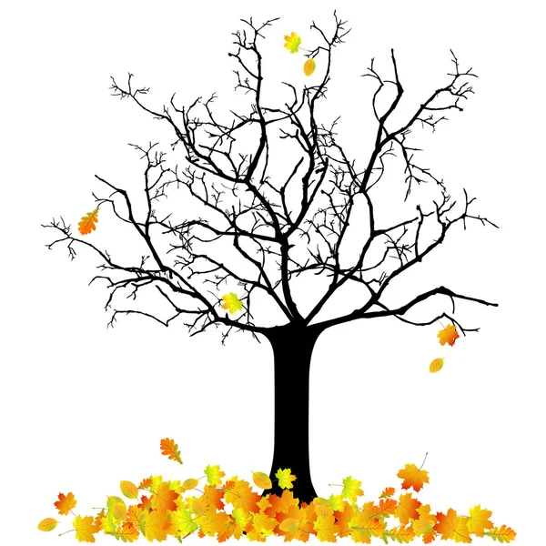 Drzewo jesień — Wektor stockowy