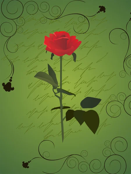 Rosa romántica — Archivo Imágenes Vectoriales