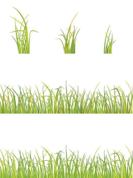 Variation von Gras — Stockvektor