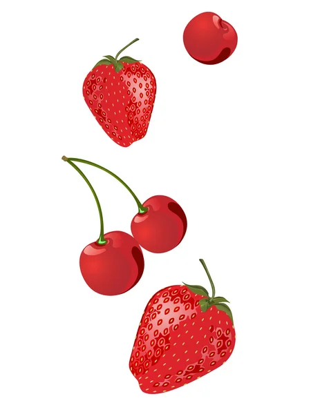 Kirschen und Erdbeeren — Stockvektor