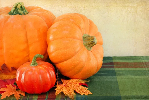 Pumpkins with Vintage Background — Stock Photo, Image