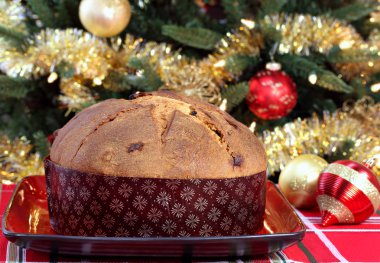 Noel ağacı önünde bütün panettone