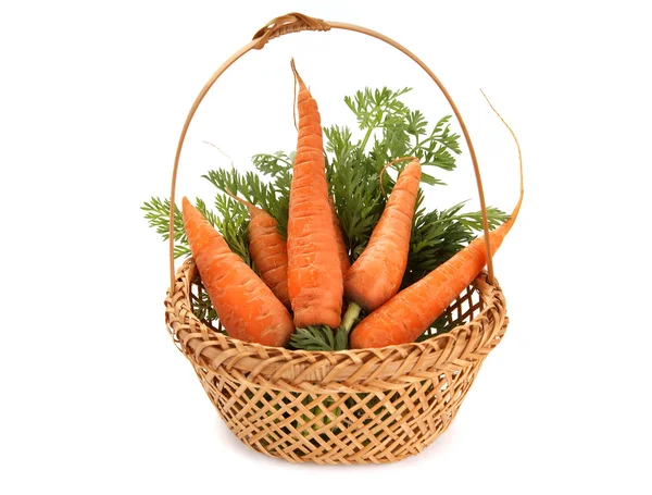 Cenouras frescas sobre fundo branco — Fotografia de Stock