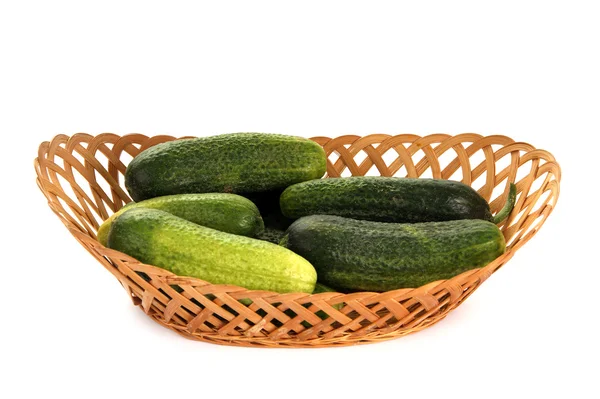 Fresh Fresh cucumbers on white background — Stock Photo, Image