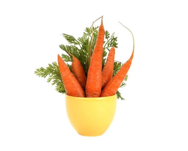 Świeże marchewki na białym tle — Zdjęcie stockowe