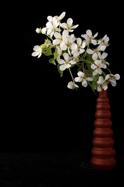 Ramo de flores y flores de cerezas aisladas en negro — Foto de Stock